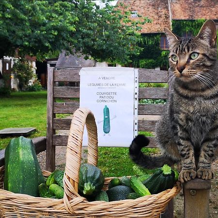 Вілла Les Jardins De Felicie Poses Екстер'єр фото