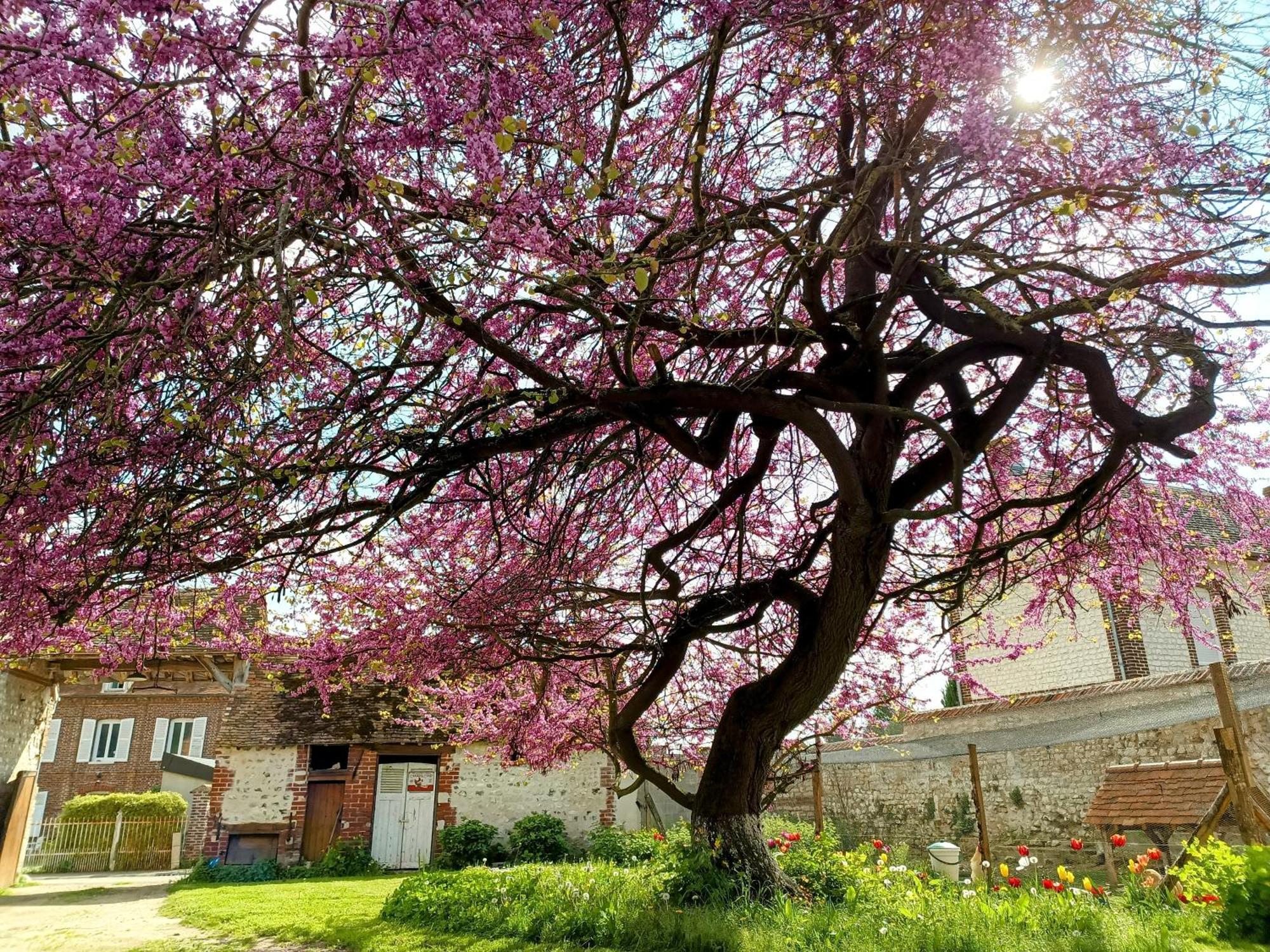 Вілла Les Jardins De Felicie Poses Екстер'єр фото